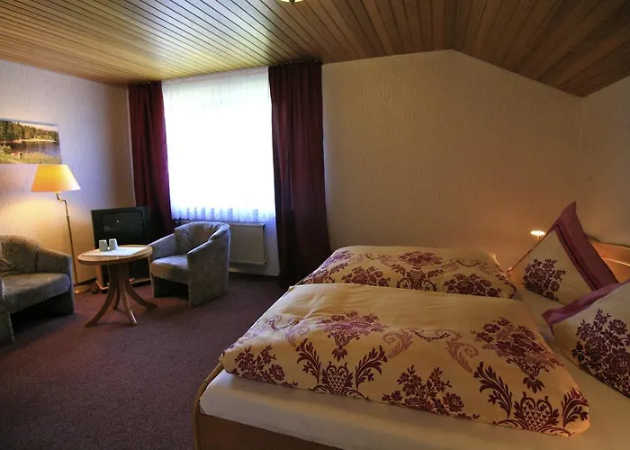 Gasthuis Haus Sieber Sankt Andreasberg